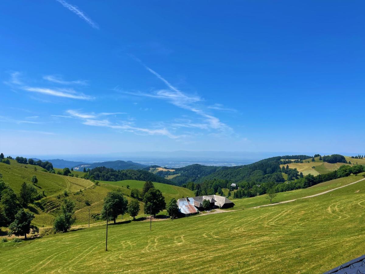 View House, Schauinsland, Black Forest Münstertal Exterior foto