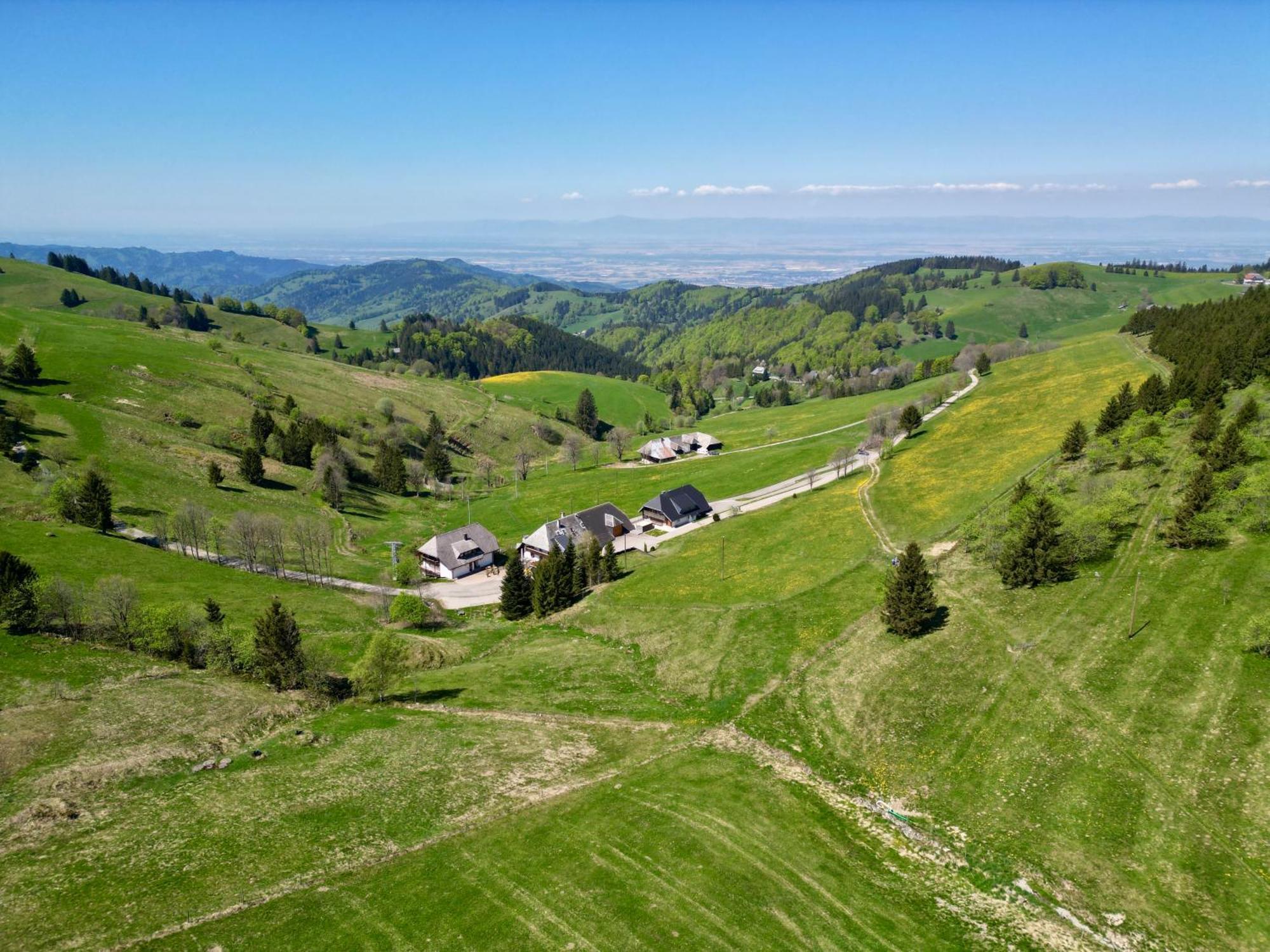 View House, Schauinsland, Black Forest Münstertal Exterior foto